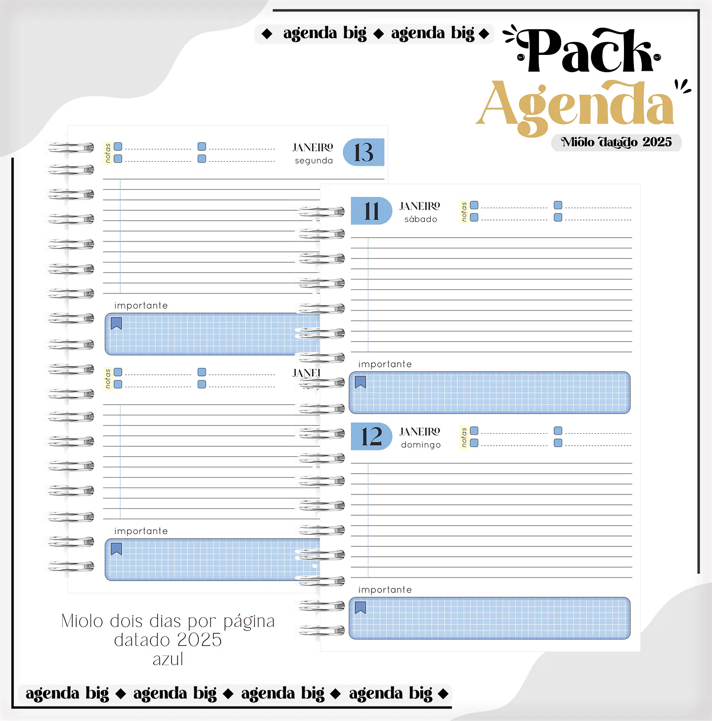Arquico Pack de Agendas Universitários Masculino 12