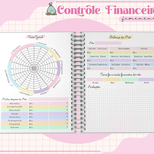 Arquivo Planner Financeiro Feminino