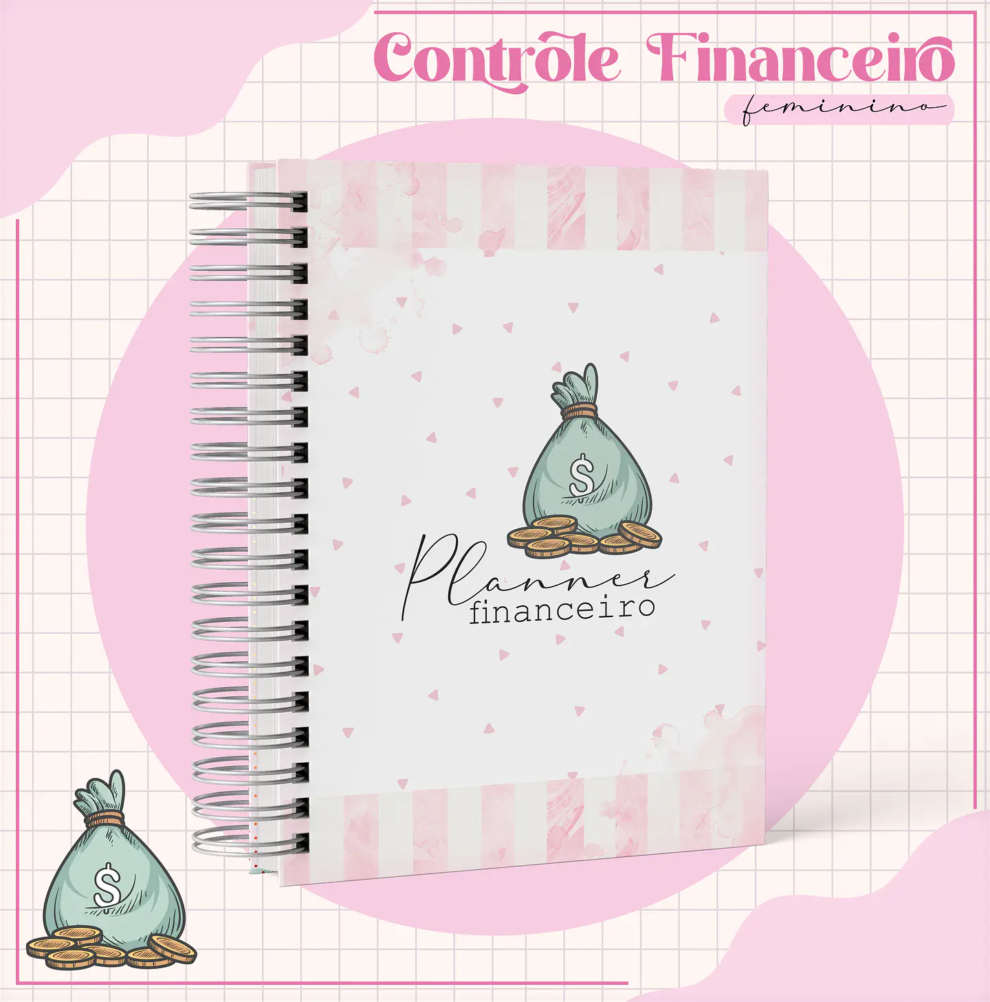Arquivo Planner Financeiro Feminino 3