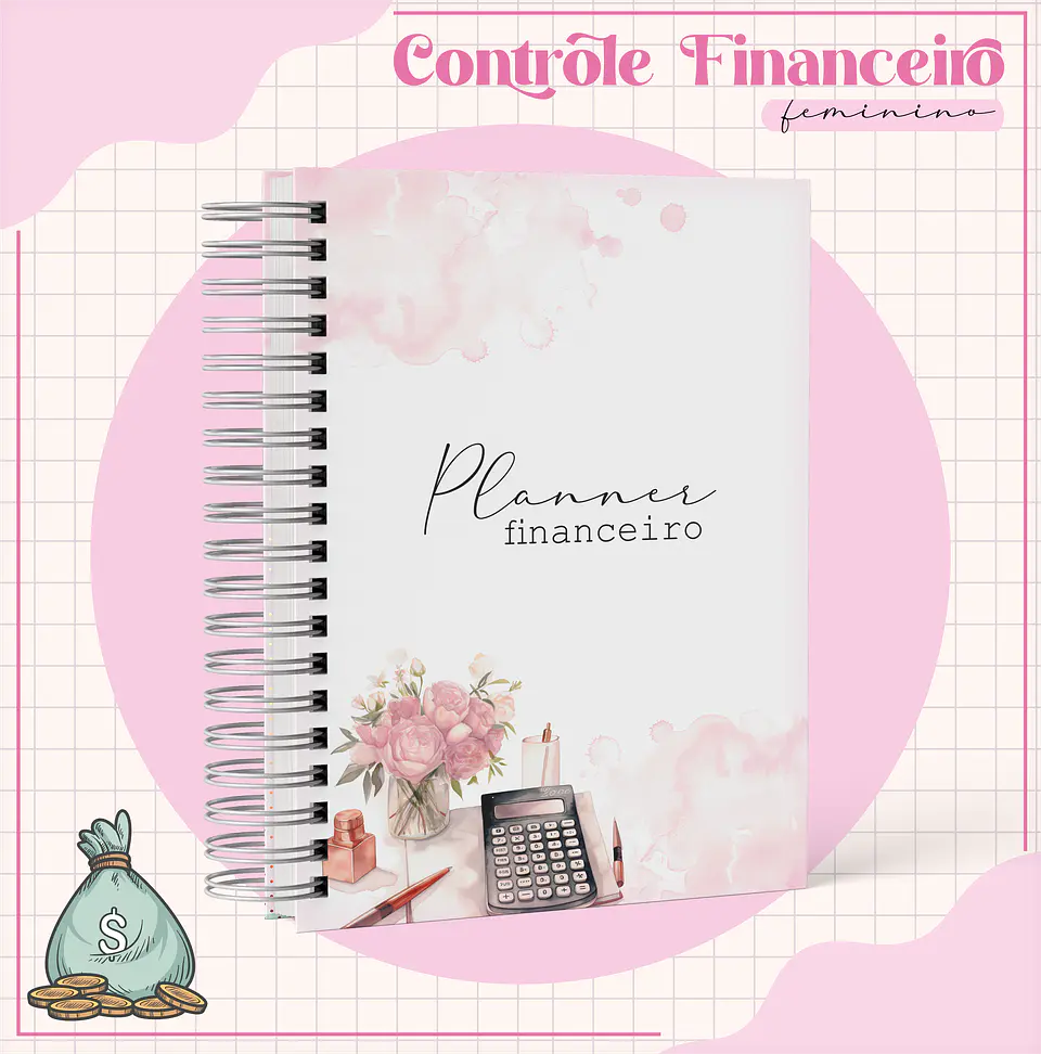 Arquivo Planner Financeiro Feminino 4