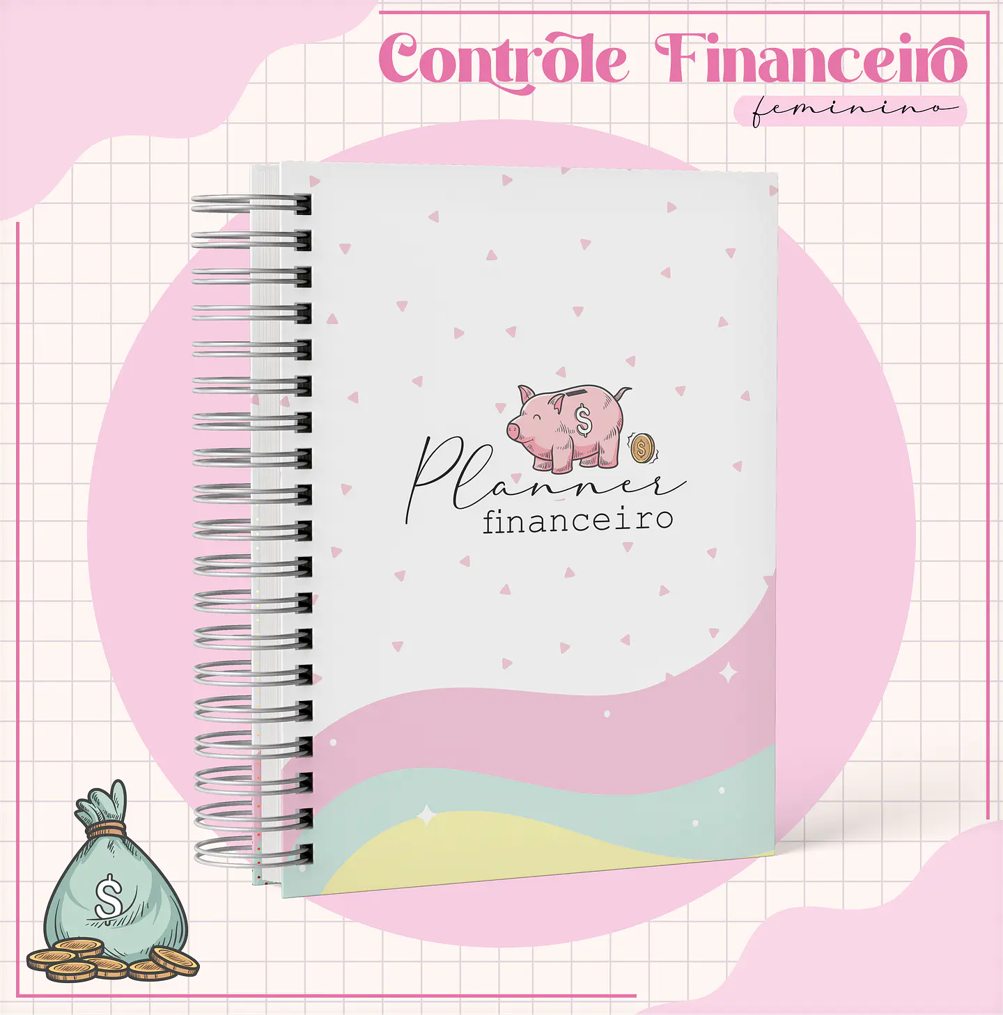 Arquivo Planner Financeiro Feminino 5