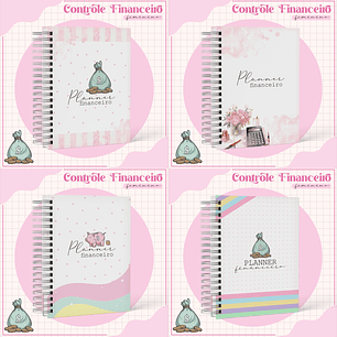 Arquivo Planner Financeiro Feminino