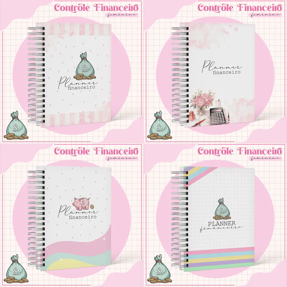 Arquivo Planner Financeiro Feminino 1