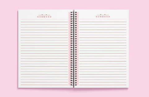 Arquivo Miolos Pautados Caderno - Rosa, Verde, Amarelo e Cinza