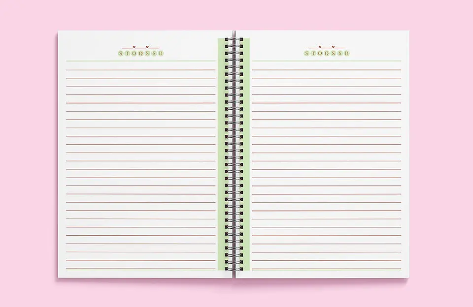 Arquivo Miolos Pautados Caderno - Rosa, Verde, Amarelo e Cinza 5