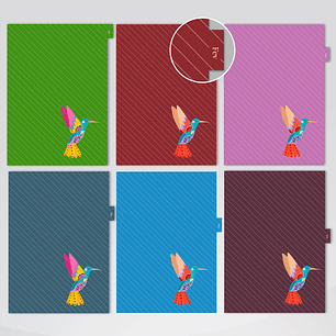 Arquivo Coleçao Encadernação Curioso Beija Flor