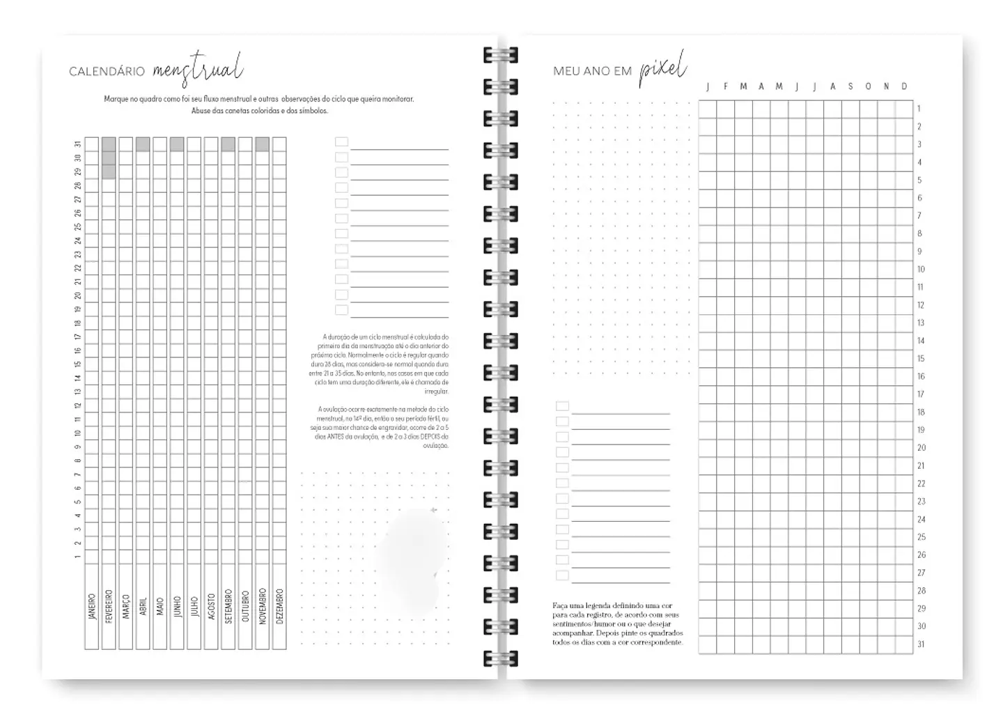 Arquivo Combo Miolo Planner Cores 2025 Horizontal - Trilha 22