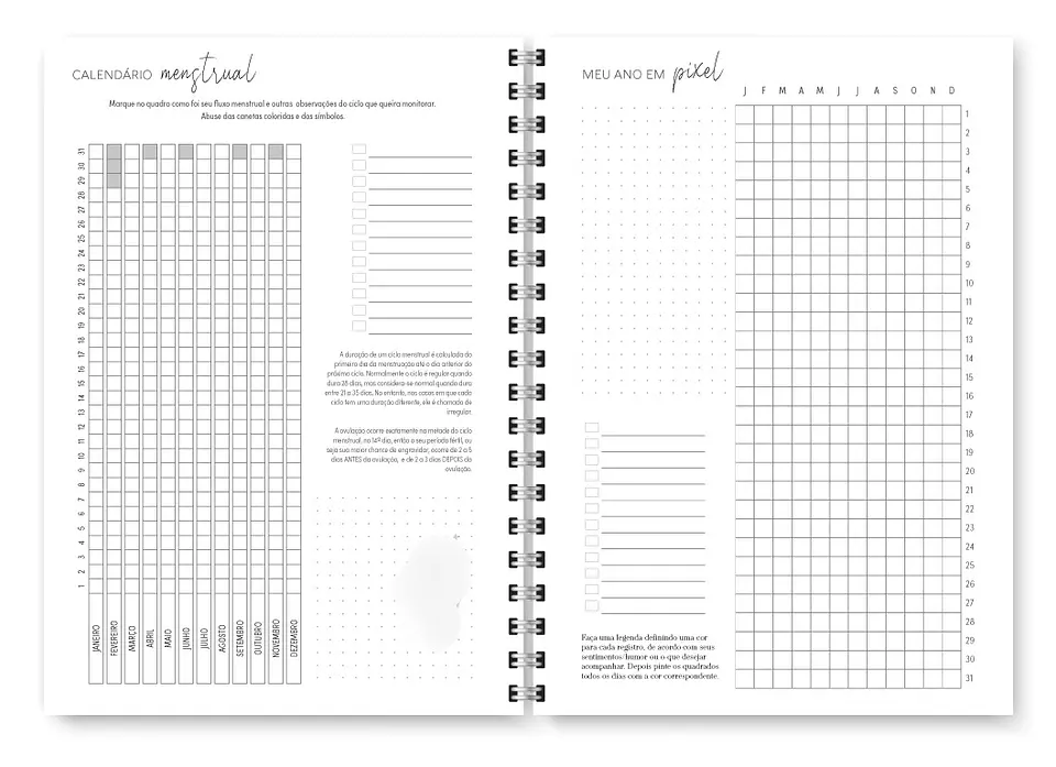 Arquivo Combo Miolo Planner Cores 2025 Horizontal - Trilha 22