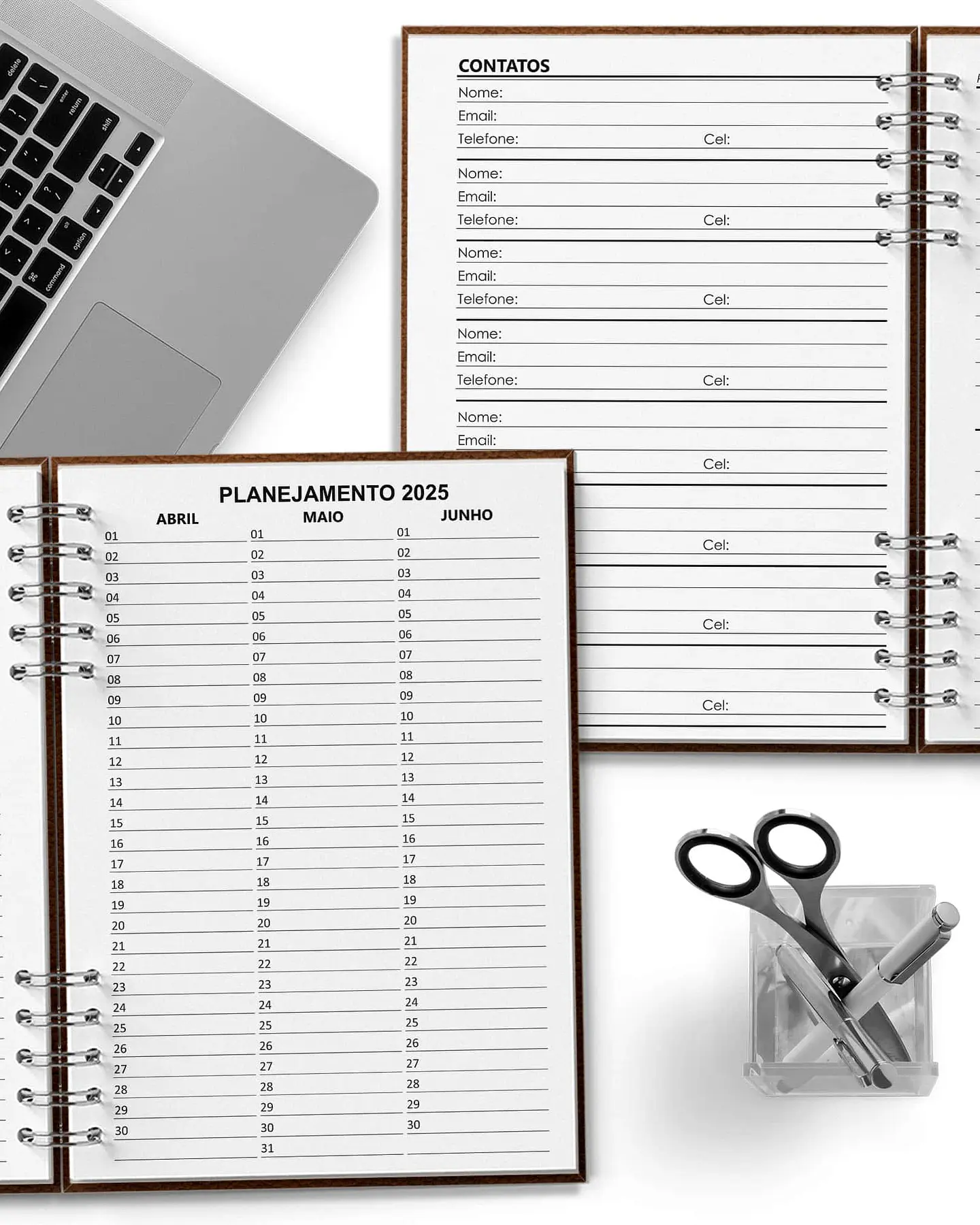 Arquivo Super Combo 10 Agendas 2025 e Permanente Masculina com 5 Modelos de Capa - Bicho 12