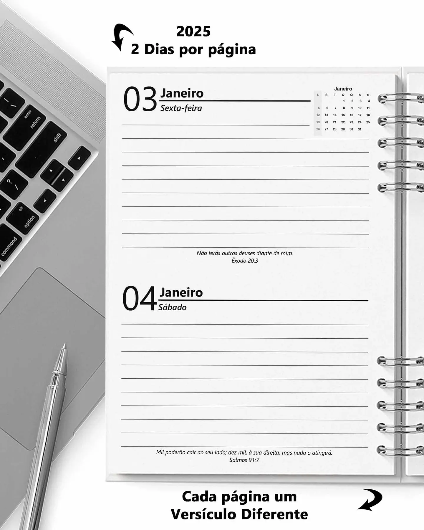 Arquivo Super Combo 10 Agendas 2025 e Permanente Masculina com 5 Modelos de Capa - Bicho 13