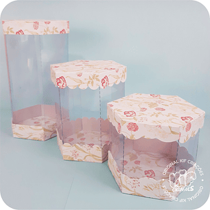 Arquivo de Corte Caixas Hexagonal Acetato - SOMENTE MOLDE