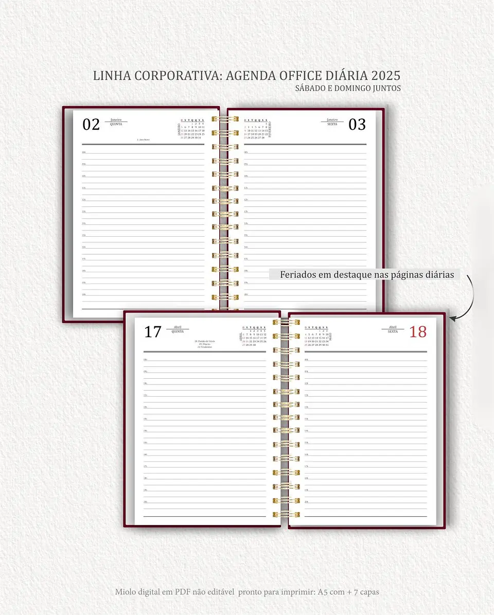 Arquivo Digital Agenda Corporativa Office Diária datada 2025+6 capas - Carinas 6