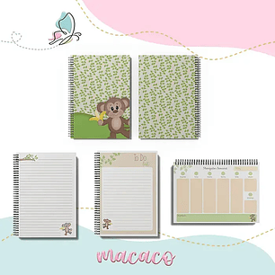 Arquivo Encadernação Combo Safari - MARI