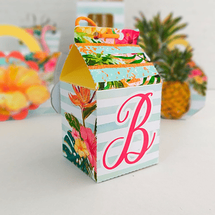 Arquivo de Corte Tropical