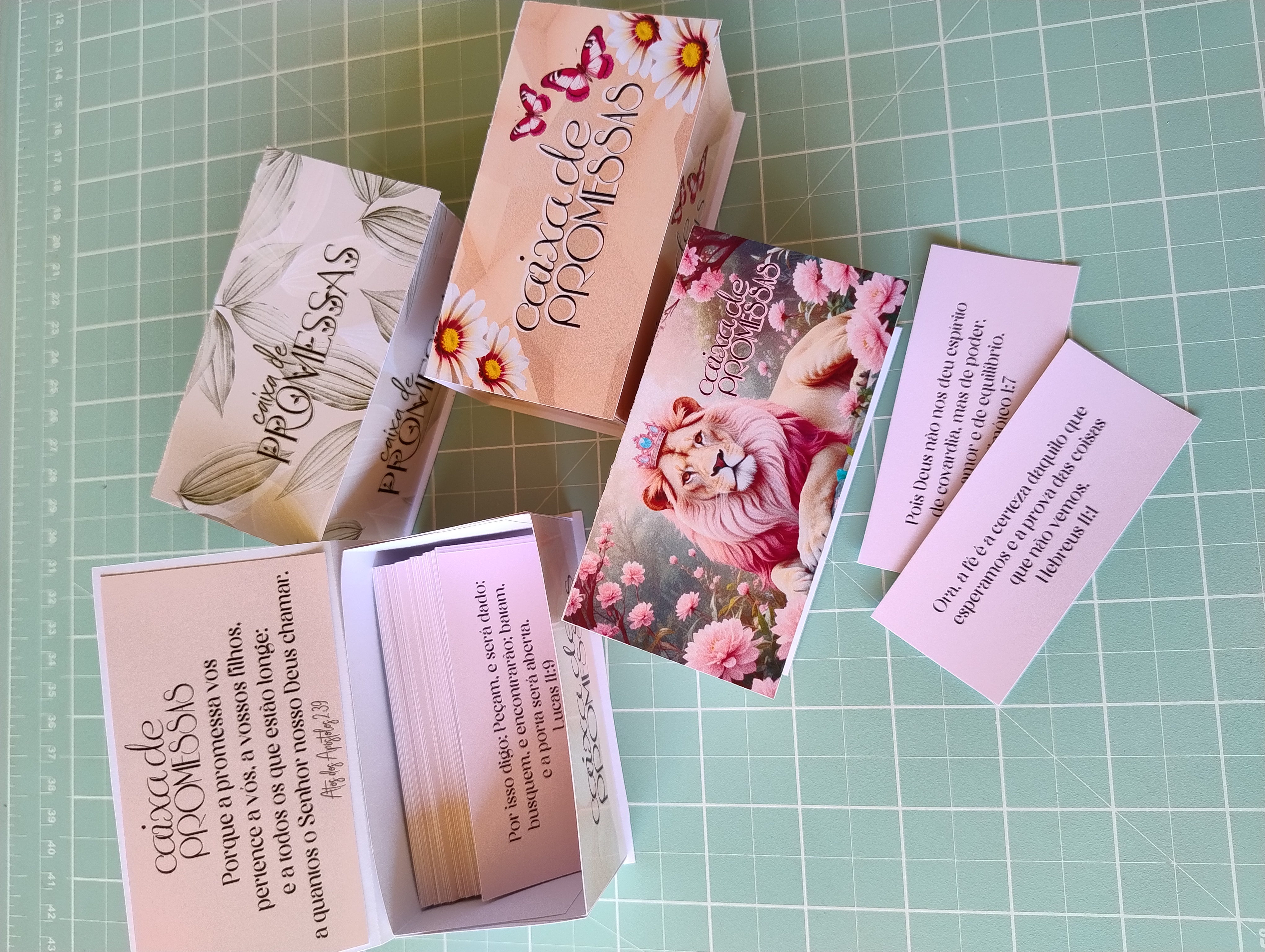 Arquivo Caixa de Promessas Feminina