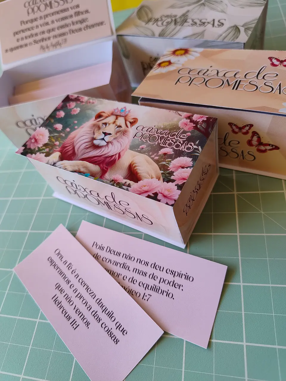 Arquivo Caixa de Promessas Feminina 2
