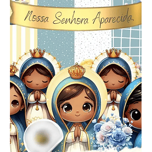 Kit Digital Nossa Senhora Aparecida