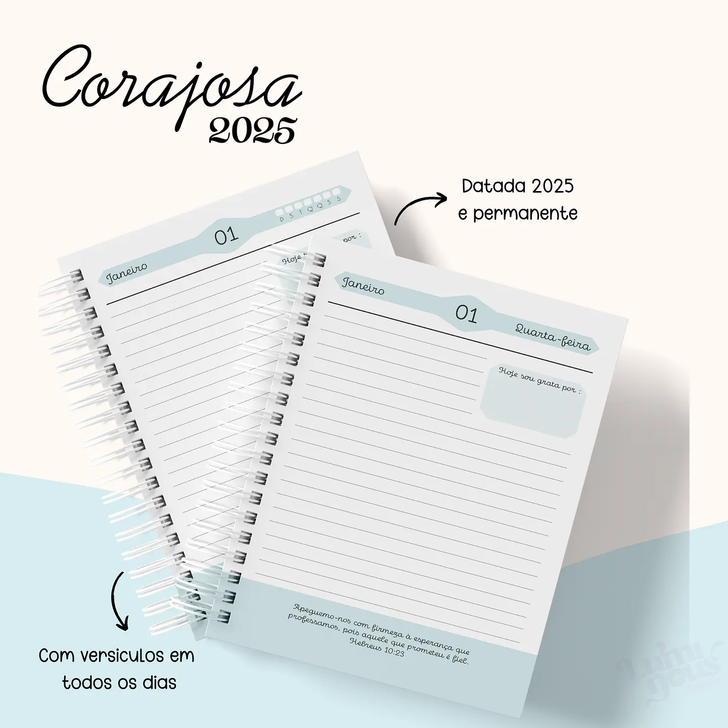 Arquivo Agenda Cristão Feminina 2025 - Luminous 2