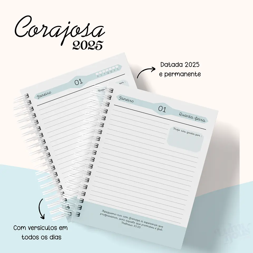 Arquivo Agenda Cristão Feminina 2025 - Luminous 2