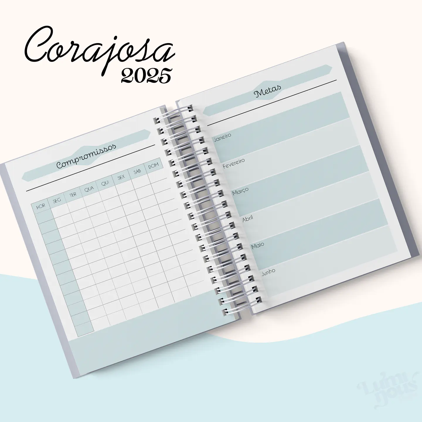 Arquivo Agenda Cristão Feminina 2025 - Luminous 5