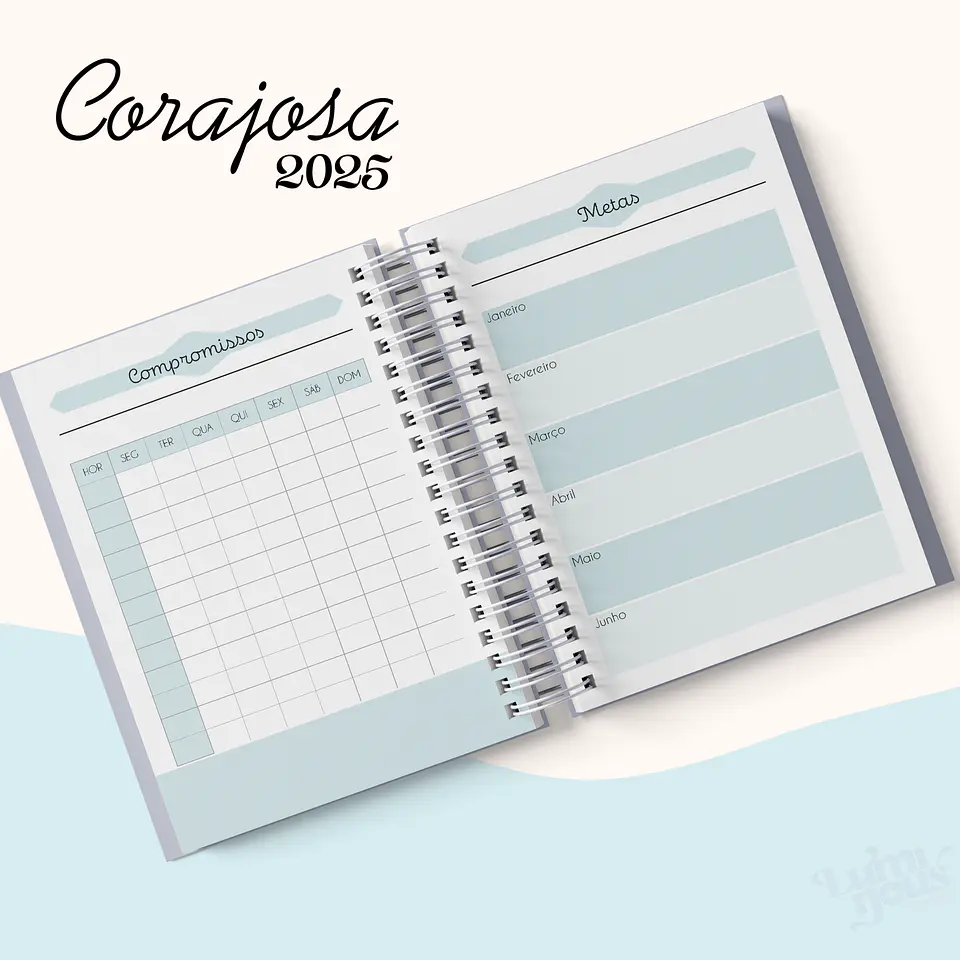 Arquivo Agenda Cristão Feminina 2025 - Luminous 5