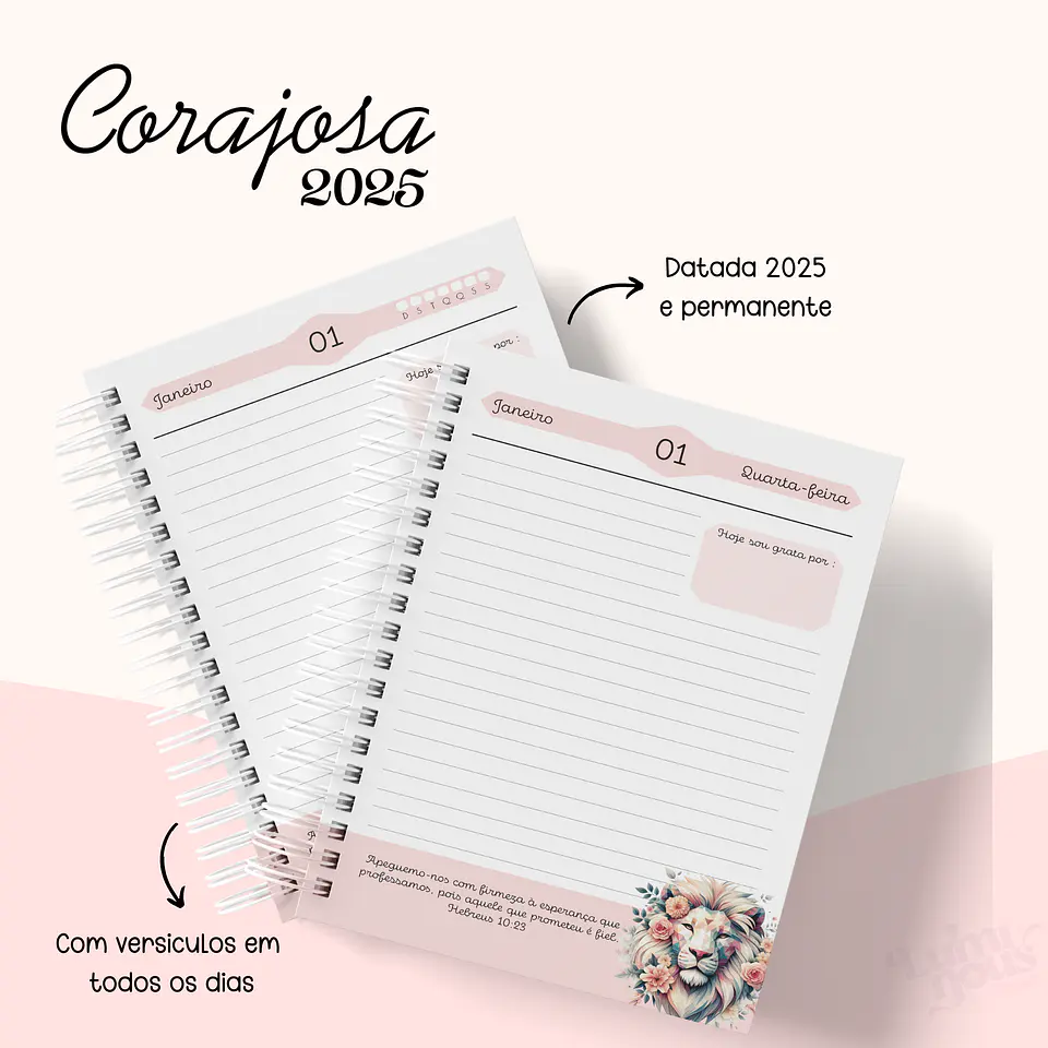 Arquivo Agenda Cristão Feminina 2025 - Luminous 11