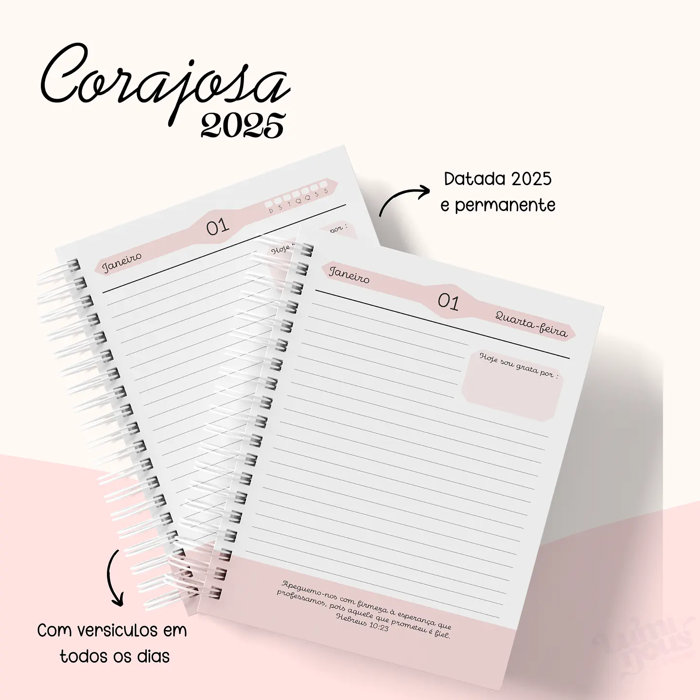 Arquivo Agenda Cristão Feminina 2025 - Luminous 19