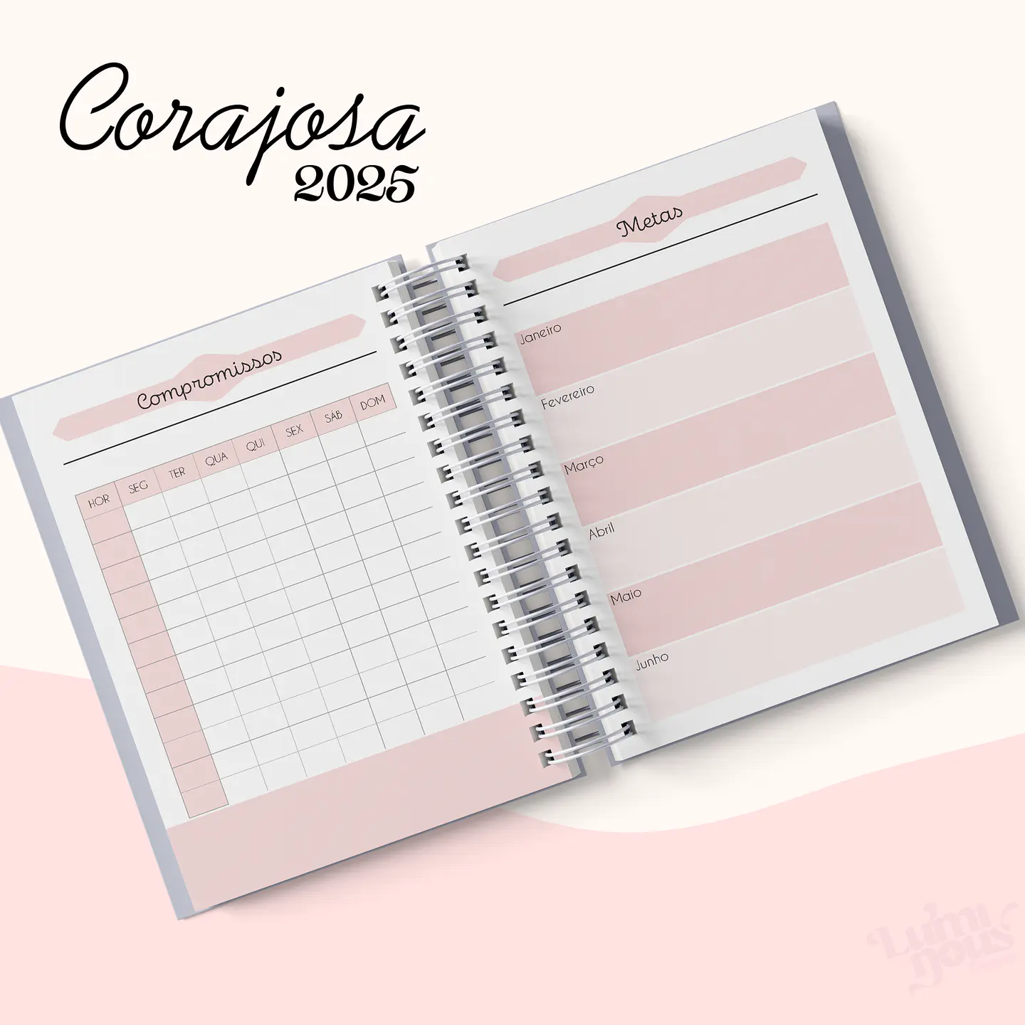 Arquivo Agenda Cristão Feminina 2025 - Luminous 20