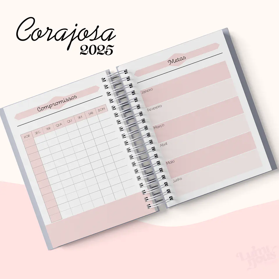 Arquivo Agenda Cristão Feminina 2025 - Luminous 20