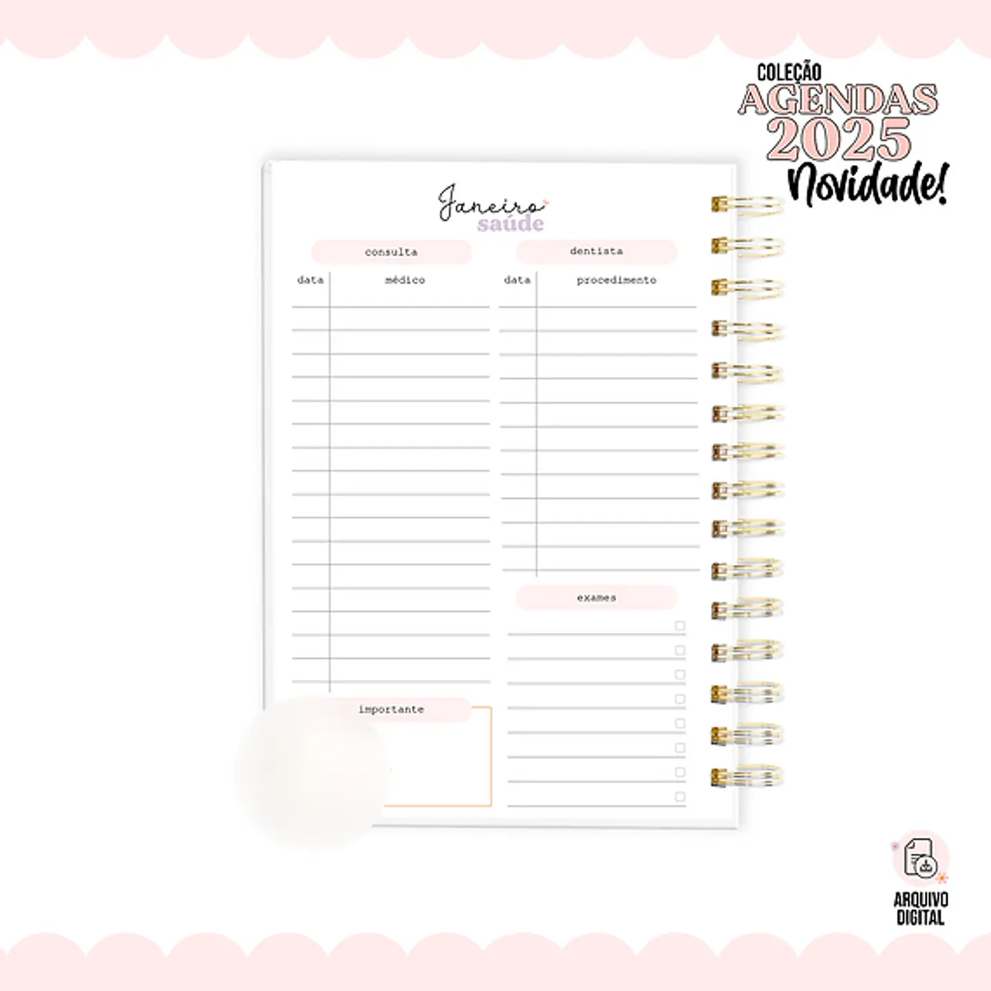 Arquivo Encadenação Combo Agendas 2025 - vê 8