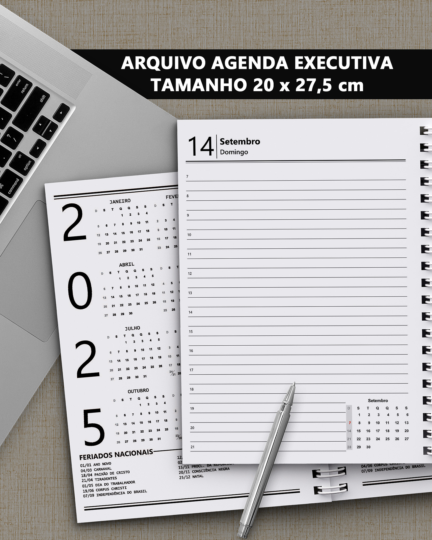 Arquivo Miolo Agenda Executiva 2025 tamanho 20 x 27.5 cm A4 com 1 dia por página - Bicho Papel 1