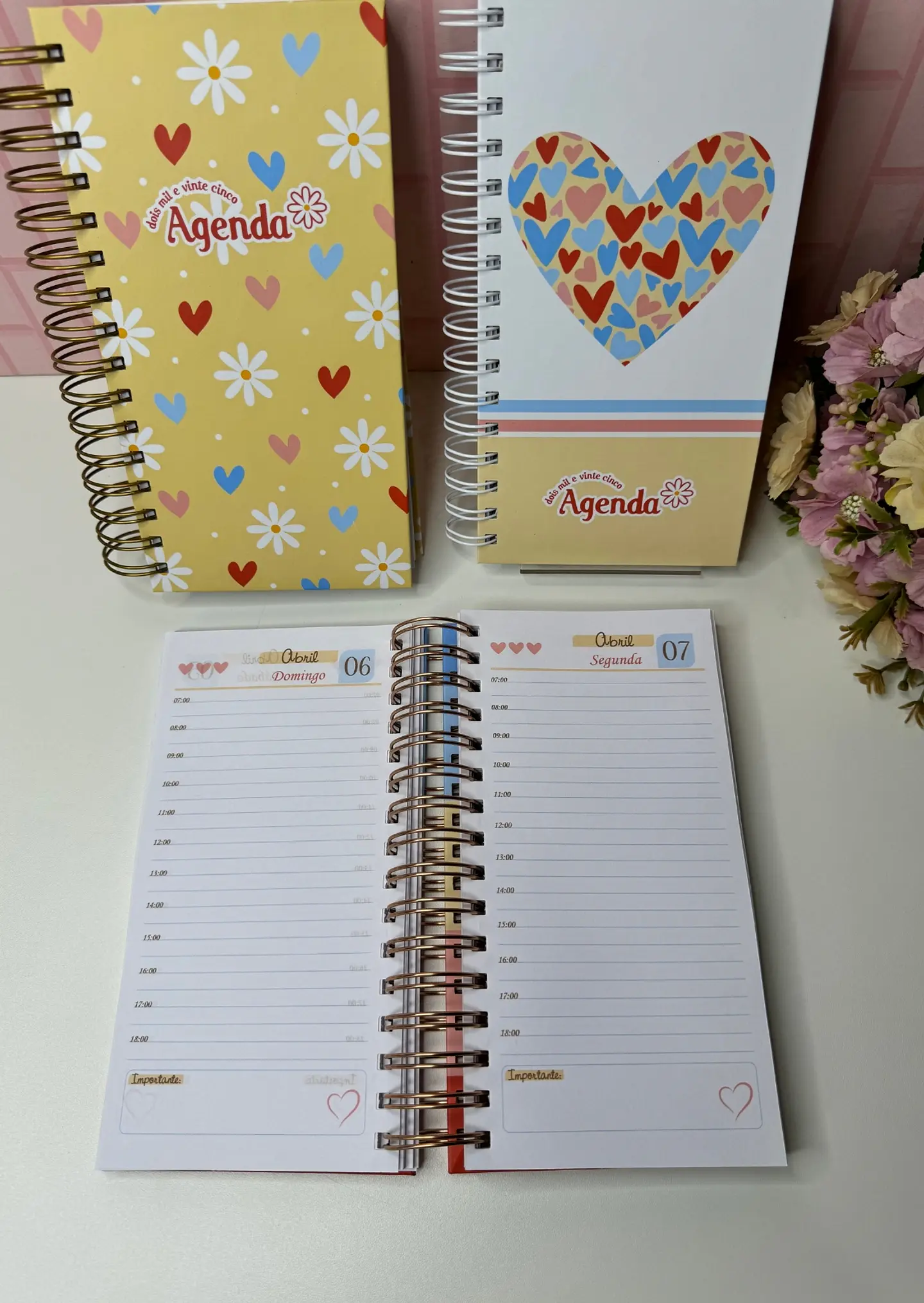 Arquivo Combo Agendas e Calendários 2025 - Coleção Sonhe Alto - GB 26
