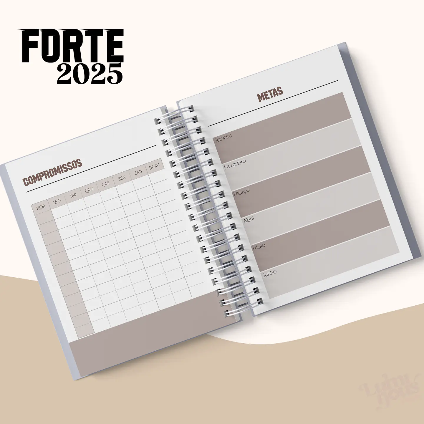 Arquivo Agenda Cristã Masculina 2025 - Luminous 7