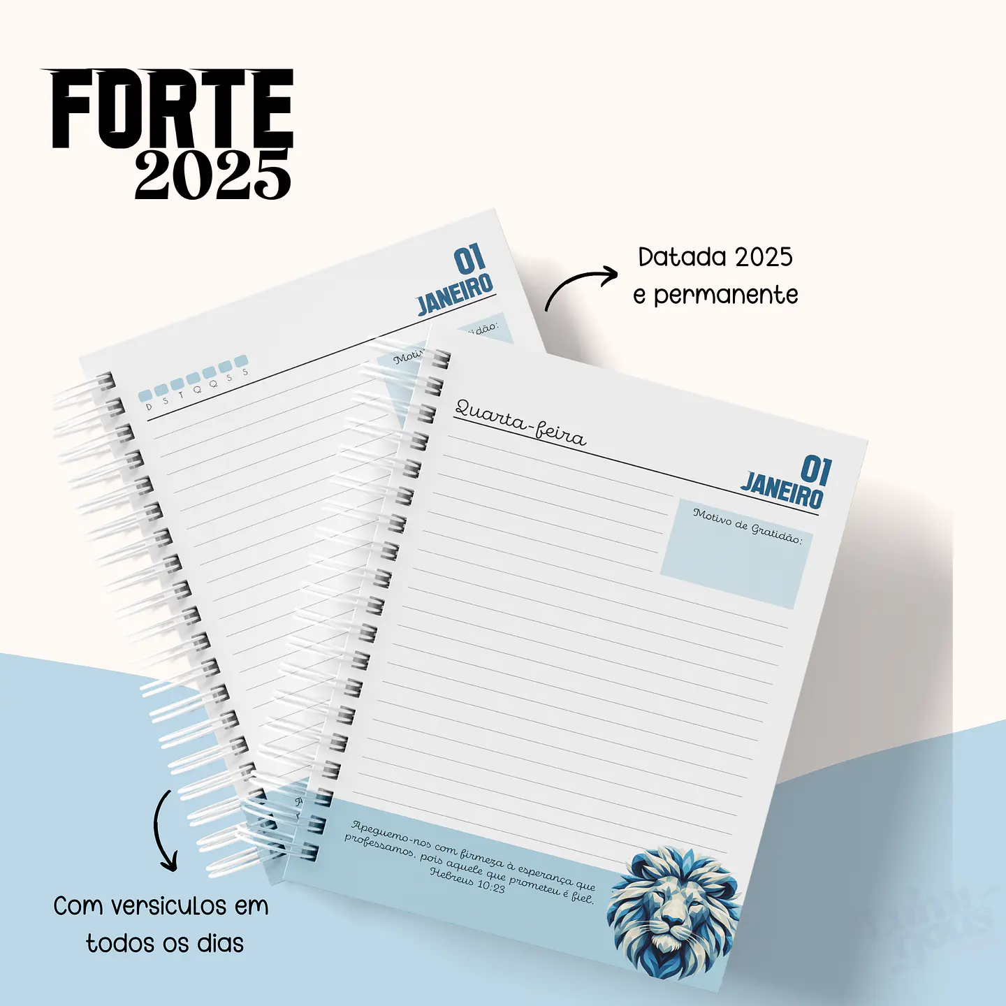 Arquivo Agenda Cristã Masculina 2025 - Luminous 9