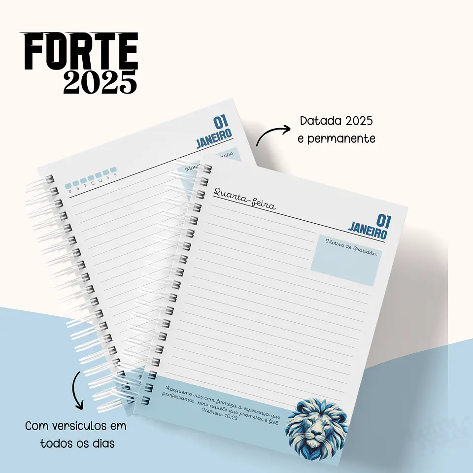 Arquivo Agenda Cristã Masculina 2025 - Luminous 9