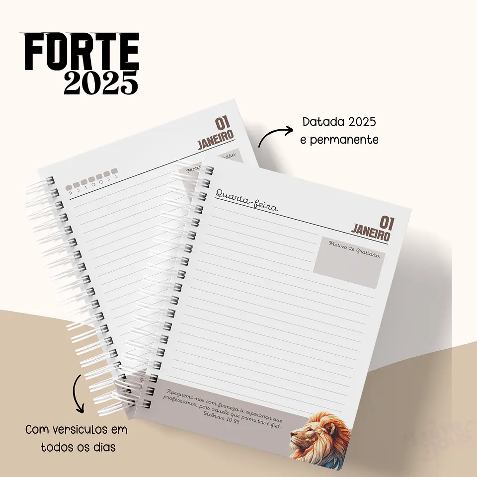 Arquivo Agenda Cristã Masculina 2025 - Luminous 10