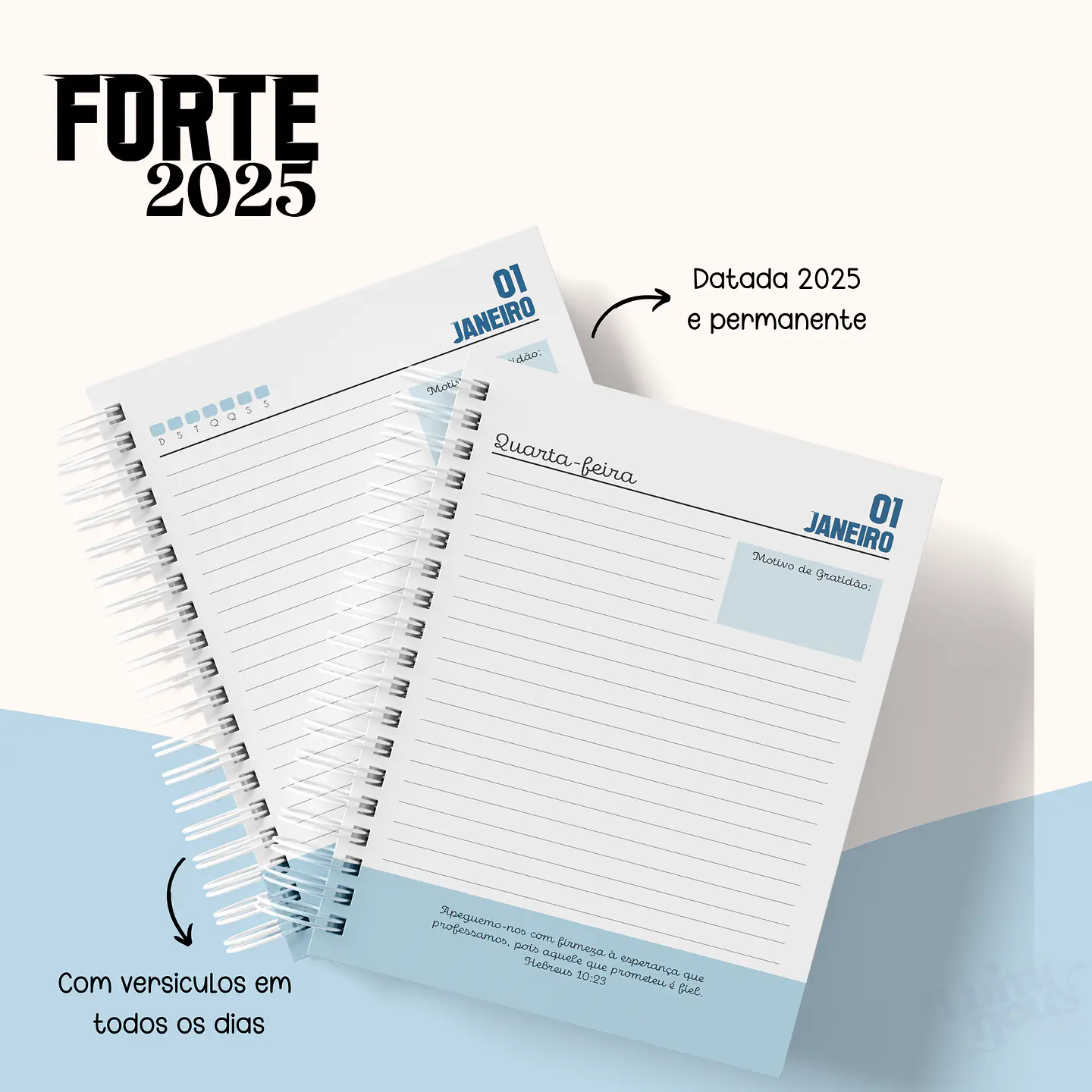 Arquivo Agenda Cristã Masculina 2025 - Luminous 13