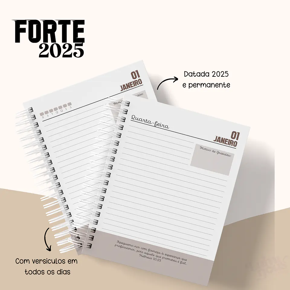 Arquivo Agenda Cristã Masculina 2025 - Luminous 16