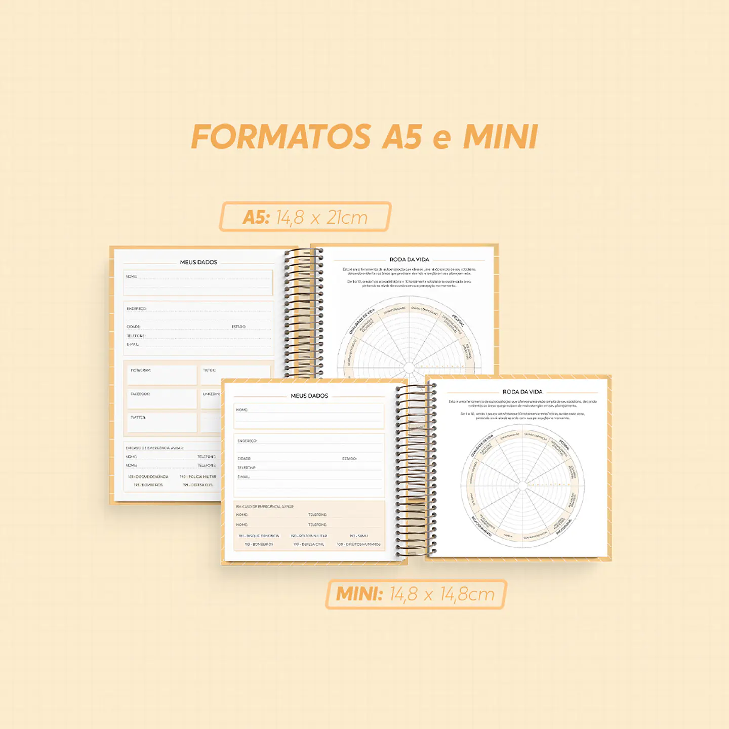 Arquivo Super Combo Planner 2025 - NILMARA 2