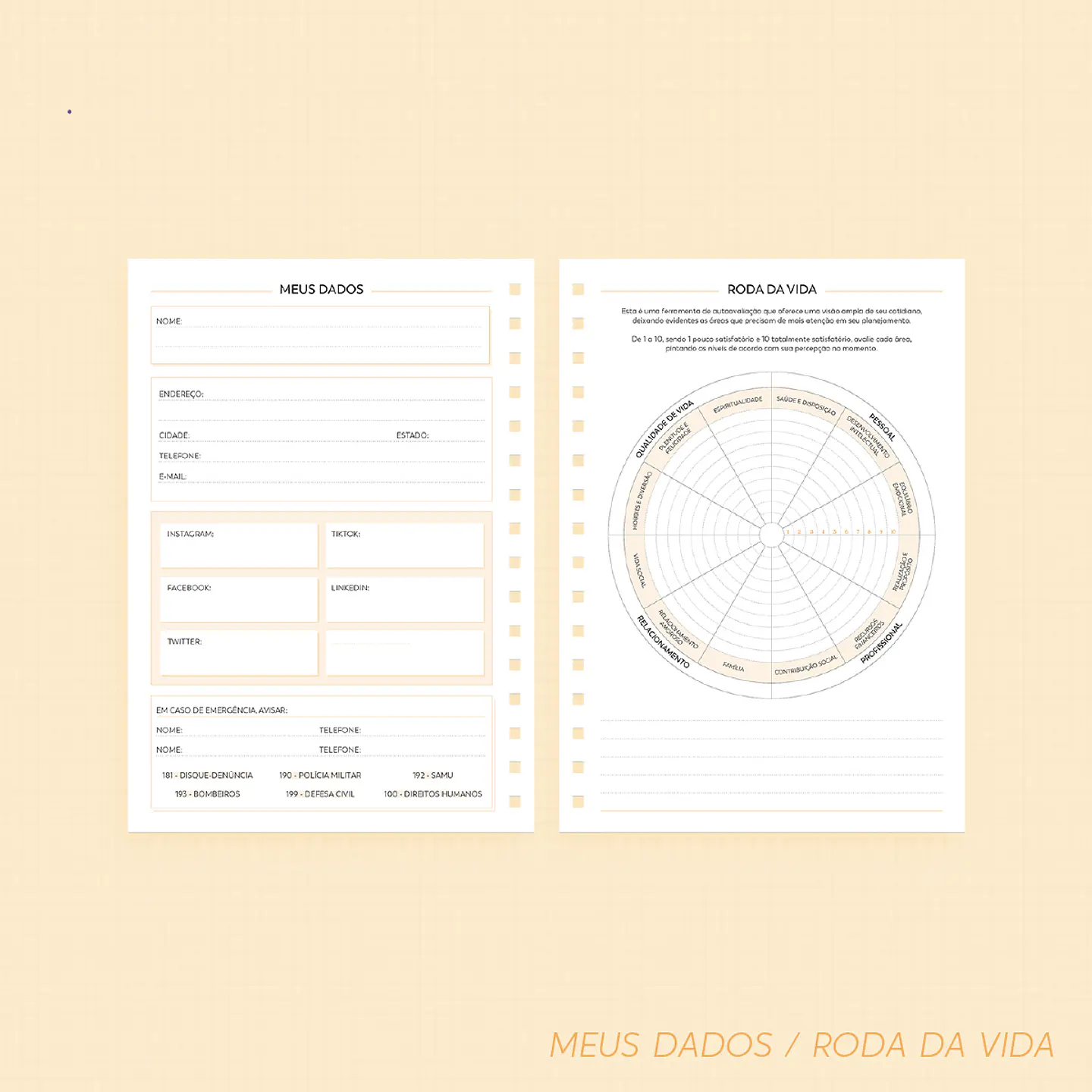 Arquivo Super Combo Planner 2025 - NILMARA 7