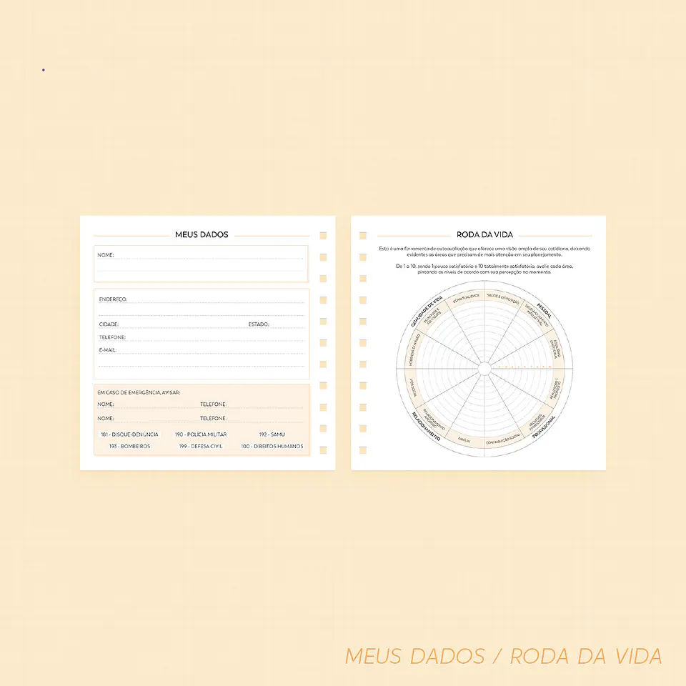 Arquivo Super Combo Planner 2025 - NILMARA 24