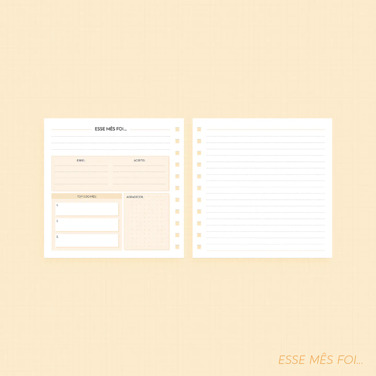 Arquivo Super Combo Planner 2025 - NILMARA 31