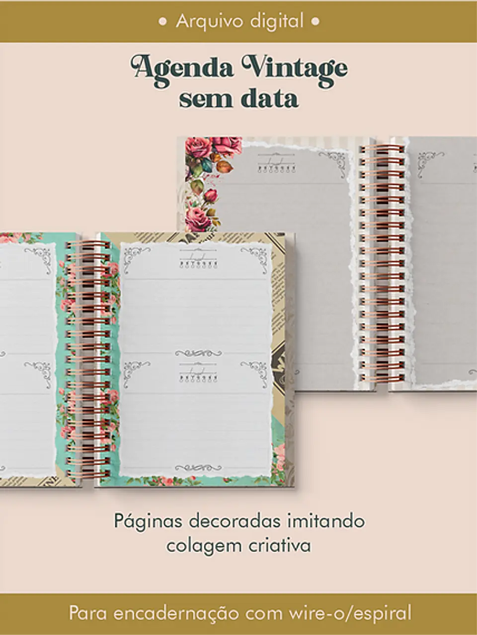 Arquivo Agenda Vintage 2025 e sem data - PERFEITO MIOLO 6