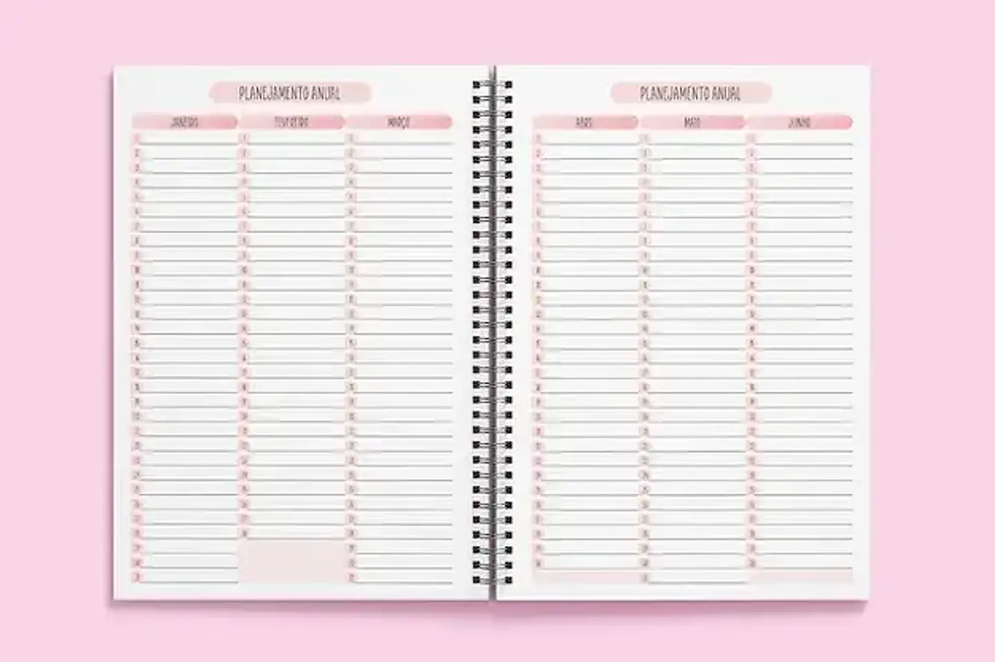 Arquivo Miolo Rosa Agenda 2025 Visão Semanal - tha 3