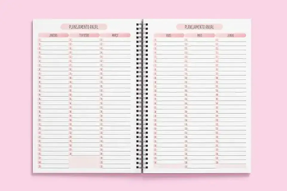 Arquivo Miolo Rosa Agenda 2025 Visão Semanal - tha 3