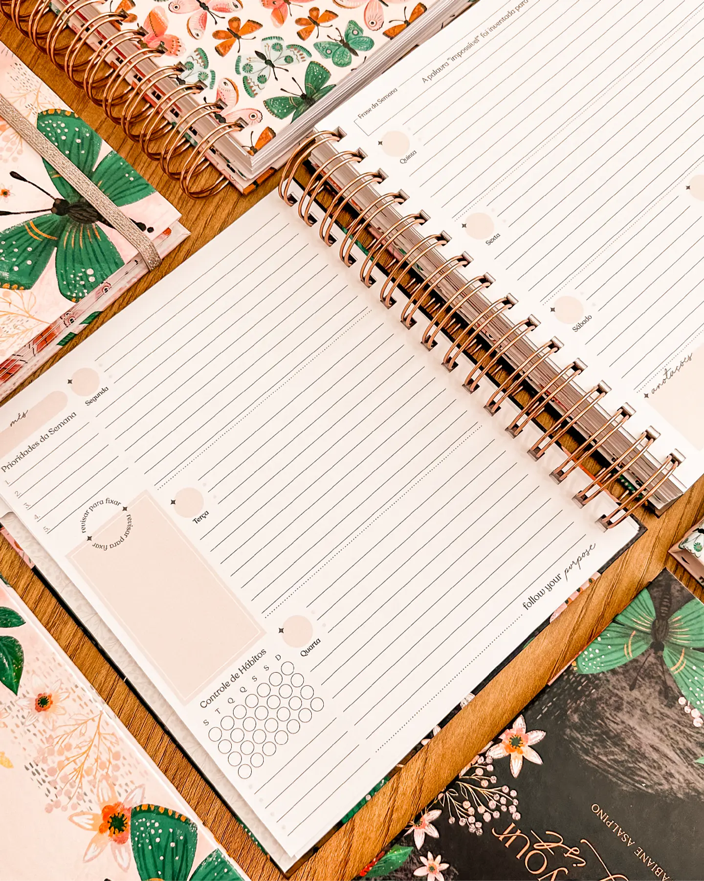 Arquivo Encadernação Coleção Purpose - Planner de Estudos - Papel Amado 13