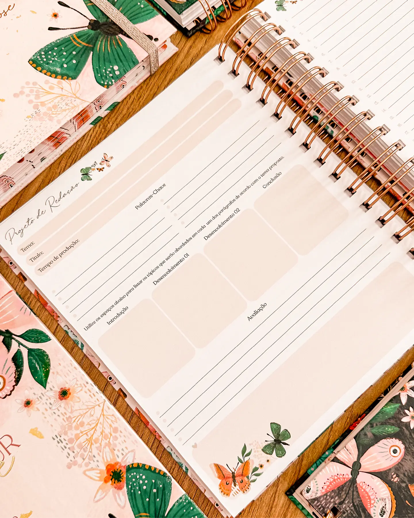 Arquivo Encadernação Coleção Purpose - Planner de Estudos - Papel Amado 19