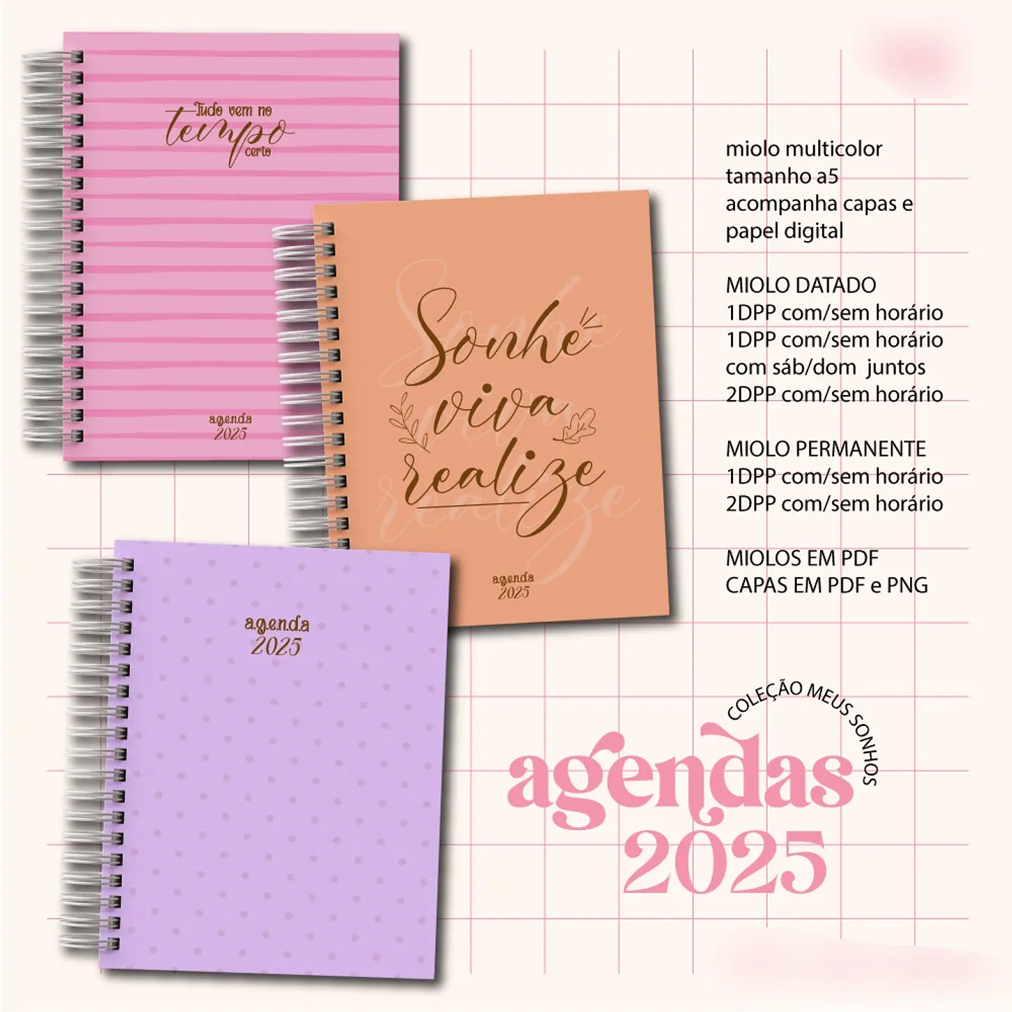 Arquivo Agenda 2025 Coleção Sonho Meu 1