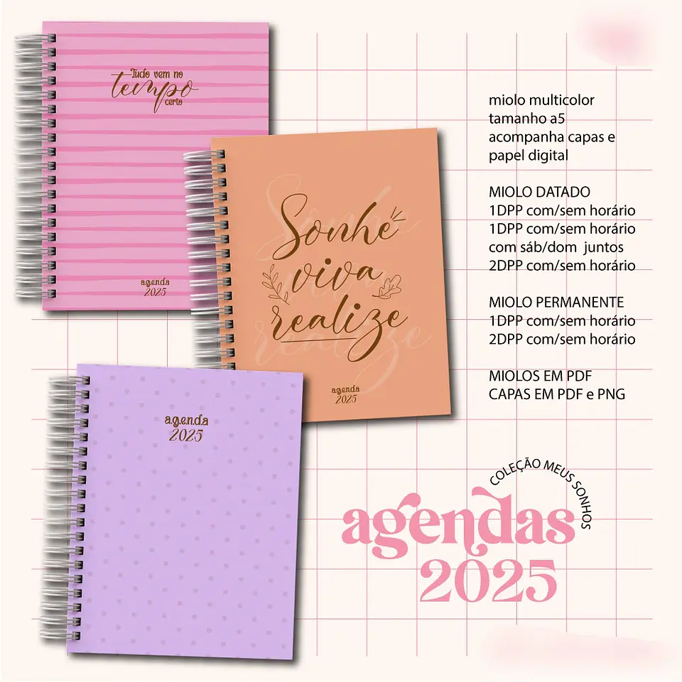 Arquivo Agenda 2025 Coleção Sonho Meu 1