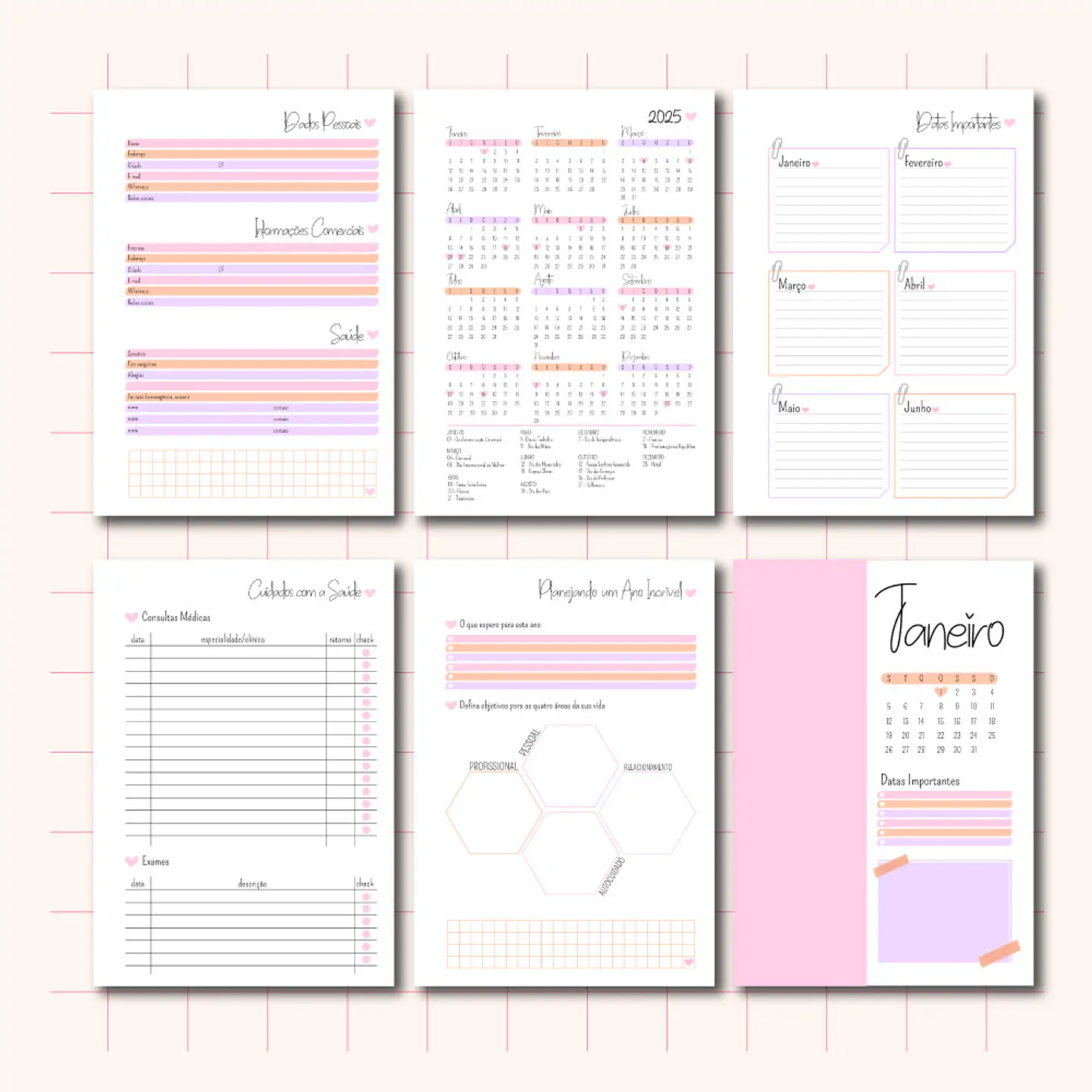 Arquivo Agenda 2025 Coleção Sonho Meu 5